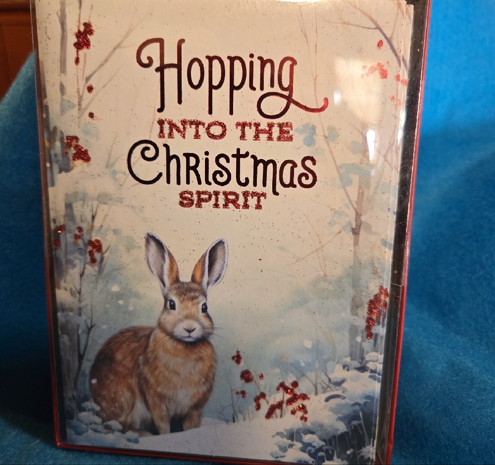 Hopping into the Christmas Spirit Holiday Card